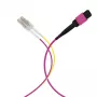 EFB Elektronik MPOF08LCOM4-10 MPO-PLUS (F) į LC magistralinis kabelis, OM4, 8 pluoštų, B tipo, LSZH, erika-violetinės spalvos, 10 m