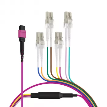 EFB Elektronik MPO-PLUS(F)-LC magistralinis kabelis OM4 8 pluoštų Type B LSZH Heather Violet 2m MPOF08LCOM4-2