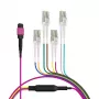 EFB Elektronik MPO-PLUS(F)-LC magistralinis kabelis OM4 8 pluoštų Type B LSZH Heather Violet 2m MPOF08LCOM4-2
