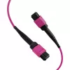 EFB Elektronik MPO-PLUS(F)-MPO-PLUS(F) prievado kabelis OM4 8 pluoštų Type B LSZH Erika-violet 5m MPOF8MPOFOM4-5
