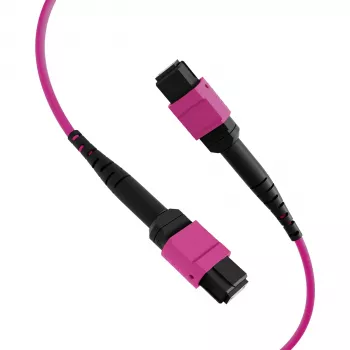 EFB Elektronik MPO-PLUS(F)-MPO-PLUS(F) prievado kabelis OM4 8 pluoštų Type B LSZH Erika-violet 5m MPOF8MPOFOM4-5