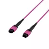 EFB Elektronik MPO-PLUS(F)-MPO-PLUS(F) prievado kabelis OM4 8 pluoštų Type B LSZH Erika-violet 5m MPOF8MPOFOM4-5