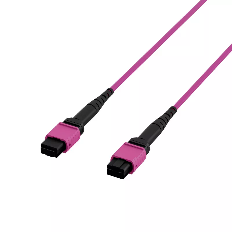 EFB Elektronik MPO-PLUS(F)-MPO-PLUS(F) prievado kabelis OM4 8 pluoštų Type B LSZH Erika-violet 5m MPOF8MPOFOM4-5