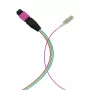 EFB Elektronik MPO-PLUS (M)-LC fanout kabelis OM4 12 pluoštų Type B LSZH Erika-Violet 1m MPOM12LCOM4-1