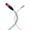 EFB Elektronik MPO-PLUS (M)-LC fanout kabelis OM4 12 pluoštų Type B LSZH Erika-Violet 1m MPOM12LCOM4-1