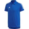 adidas Condivo 20 vyrų polo marškinėliai Team Royal Blue/White ED9237 dydis S