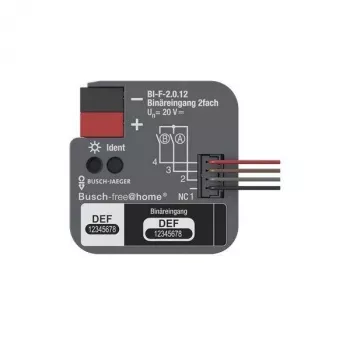 BUSCH-JAEGER KNX dvikryptis binarinis įėjimas, įleidžiamas BI-F-2.0.12 (2CDG510023R0021)