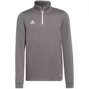 adidas Entrada 22 treniruočių marškinėliai pilki jaunimo 128cm H57549