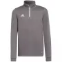 adidas Entrada 22 treniruočių džemperis vaikams, pilkas, H57549, 140 dydis