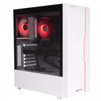 Captiva PC Business/Office R10-3811 (Ryzen 5 3400G/SSD 1TB/16GB/WLAN/Windows 11 Home 64-bit) (103811)