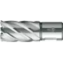 BDS HSS žiedinis grąžtas 14 mm x 30 mm Weldon kotu KBK-014