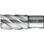 BDS HSS Standard 22,0 mm žiedinis grąžtas su Weldon kotu, 30 mm gręžimo gylis (KBK-022)