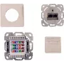 IT-BUDGET Cat.6A ekranuota įleidžiama tinklo rozetė, 2 x RJ45, grynai balta, PoE+ 90ITBDDRW