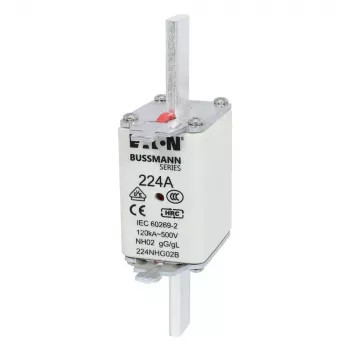 Eaton 100NHG02B NH saugiklis D02 100 A 500 V gG su mechaniniu indikatoriumi, 3 vnt.
