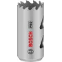 Bosch EXPERT MultiMaterial 24 mm kiaurymų pjūklas 2608901497