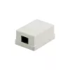 DSIT DS-Wall-Out-UTP5-I paviršinio montavimo Cat5e UTP RJ45 lizdas, dramblio kaulo spalvos