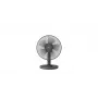 PHILIPS 1000 Series stalinis ventiliatorius 25 cm juodas