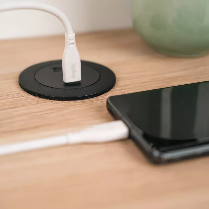 AQIILA Cablebird CS12 USB-C į USB-C įkrovimo ir sinchronizavimo kabelis 2m 60W juodas AQCBPBIC2SI829