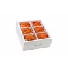 Wirewin SLIM-LS-K6A 2.0 OR 60 Cat.6A U/FTP plonas Ethernet tinklo kabelis, 2m, oranžinis, 60 vnt. paketas