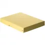 FALKEN PURE dokumentų dėžė 500 lapų pastelinės geltonos spalvos 24,0 x 32,0 x 4,0 cm, 1 vnt. (22001928000F)