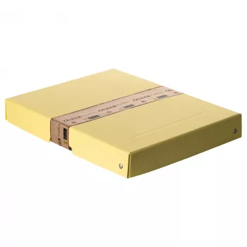 FALKEN PURE dokumentų dėžė 500 lapų pastelinės geltonos spalvos 24,0 x 32,0 x 4,0 cm, 1 vnt. (22001928000F)