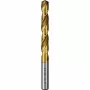 Bosch HSS spiralinis grąžtas 6 mm su TiN danga, DIN 338, cilindriniu kotu, 2609255100