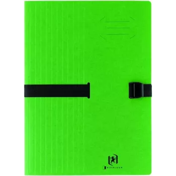 ELBA CLIP'N GO dokumentų aplankas DIN A4, žalias, išsiplėčiantis kartoninis su tekstiline elastine juostele 100201316