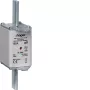 HAGER LNH2160M NH2 saugiklis 160A 500V gG su lydymosi indikatoriumi