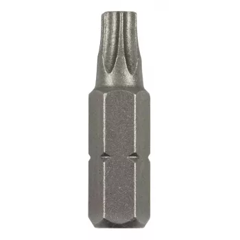 Bosch Torx antgalis T 8 C 6.3 2 vnt. (2609255931)