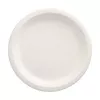 PAPSTAR pure cukranendrių lėkštė apvali 230 mm, 12 vnt. pakuotė, kompostuojama, tinkama mikrobangų krosnelei, 89748