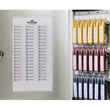 DURABLE KEY BOX 18 raktų spintelė su cilindrine spyna, šviesiai pilka 195123
