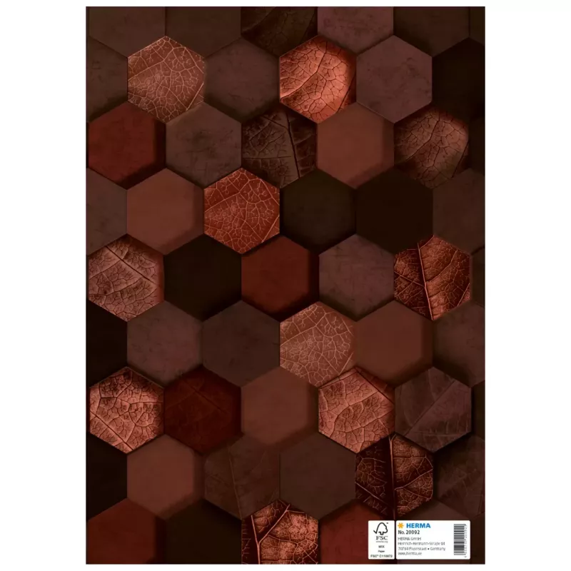 HERMA Heftschoner X sąsiuvinių viršeliai, kartonas, DIN A4, rudi, su žymėjimo lauku, 10 vnt. (20092)