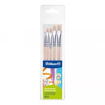 Pelikan Starter Brush Set, 5 šerelių teptukai su medinėmis rankenomis, įvairių dydžių, permatomu dėklu 300008263