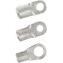 LAPP ringinė kabelio antgalis 10 mm², 6,5 mm kiaurymė, neizoliuotas, 100 vnt. 63204245