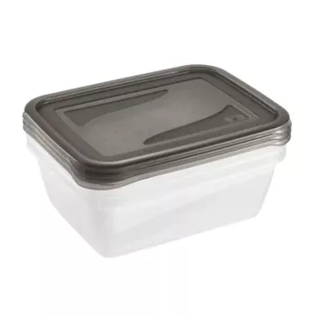 keeeper fredo fresh maisto laikymo indelių rinkinys, 3x 1,25 L, stačiakampiai, permatomu pagrindu ir pilku dangteliu 3067582700000