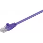 Wentronic 95234-GB Cat5e U/UTP RJ45 Ethernet tinklo kabelis