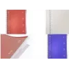 Kangaro College Block 4-in-1 bloknotas, DIN A4, 100 lapų, liniuotė, raudonu PP viršeliu, 80 gsm popierius, 4 kilnojami skiriamieji skirtukai - 1 vnt. (K-58380)