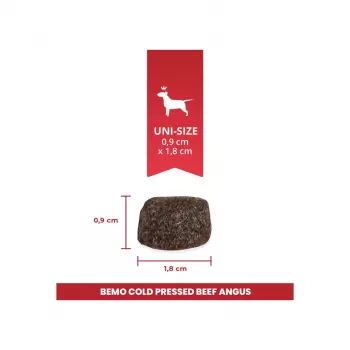 BEMO šaltai presuotas sausas pašaras šunims su Angus jautiena Mono 3kg