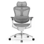 Sihoo DORO C300 Pro ergonominė tinklinė biuro kėdė, balta
