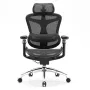 SIHOO DORO C300 Pro ergonominė biuro kėdė su tinkleliu, juoda