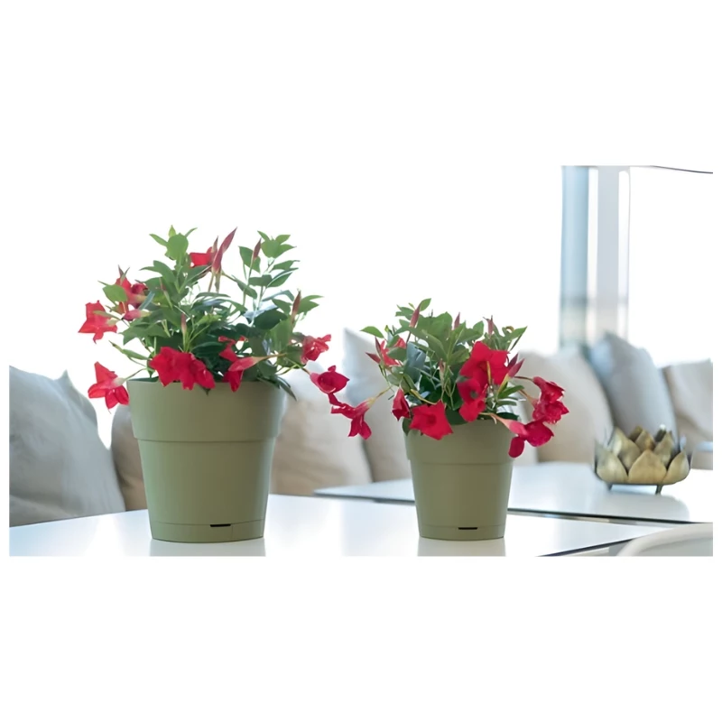STEFANPLAST gėlių vazonas su padėklu Ethica Ø40x39cm žalias