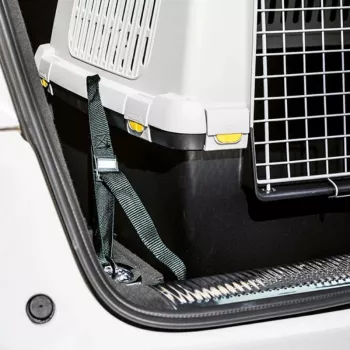 STEFANPLAST automobilio saugos diržai, skirti Gulliver Touring augintinių pervežimo dėžutei (3 vnt.)