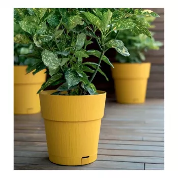 STEFANPLAST Ethica apvali gėlių vazonas su padėklu, 25 cm, garstyčių geltonumo