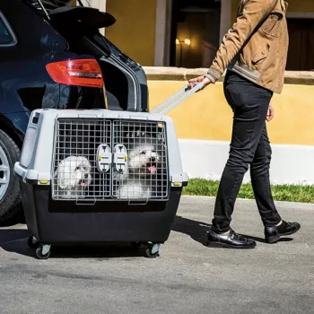 STEFANPLAST Gulliver Touring 80 transportavimo narvas dideliems šunims, tamsiai pilka/šviesiai pilka, patvirtintas oro linijoms