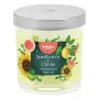 BOLSIUS Floral Fusion kvapni žvakė stiklinėje, saulėgrąžų ir citrusų, Ø80x72mm
