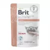 BRIT VD Renal Cat Pouch - šlapias maistas katėms - 12x85g