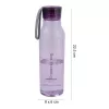 LOCKNLOCK Eco Bottle 550ml purpurinis