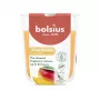 BOLSIUS True Scents Mango kvapni stiklinė žvakė Ø80x73mm