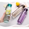 LOCKNLOCK Eco Bottle 550ml rudos spalvos