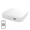 MOES BHUB-W Wi-Fi/Bluetooth Mesh tarpinė įranga